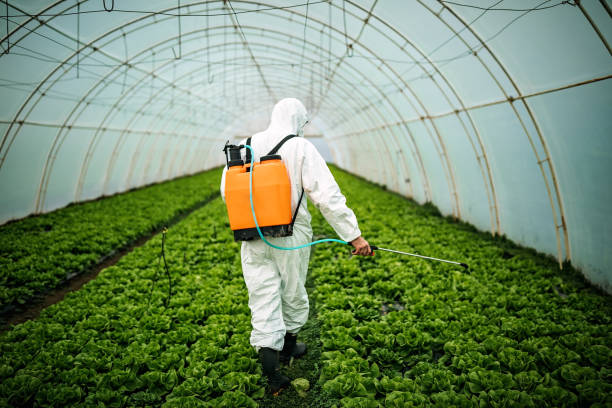 Best Local Pest Control Services  in Lee Acres, NM