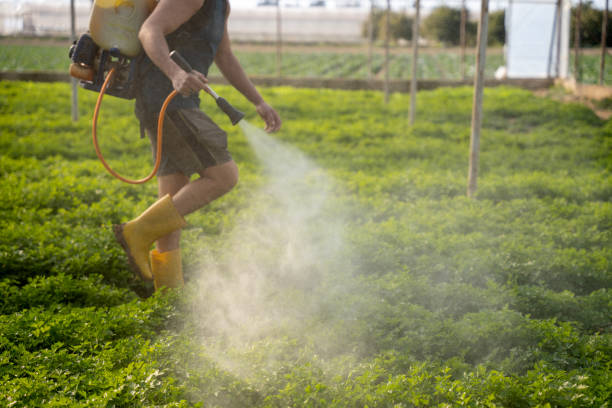 Pest Control Cost in Lee Acres, NM