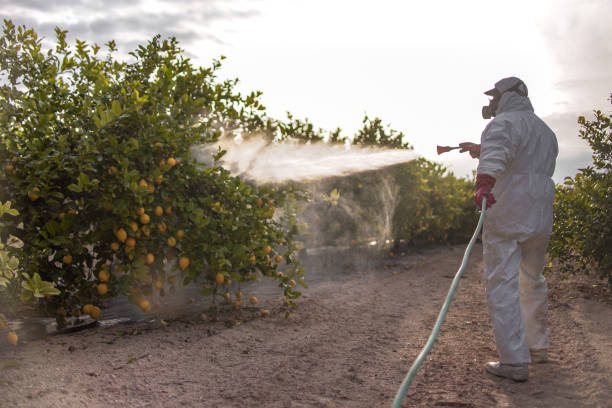 Best Emergency Pest Control  in Lee Acres, NM