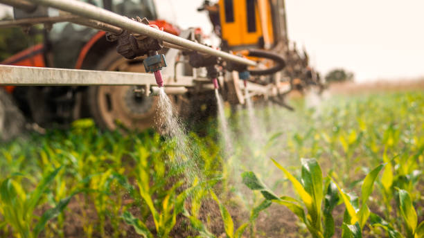 Reliable Lee Acres, NM Pest Control Solutions